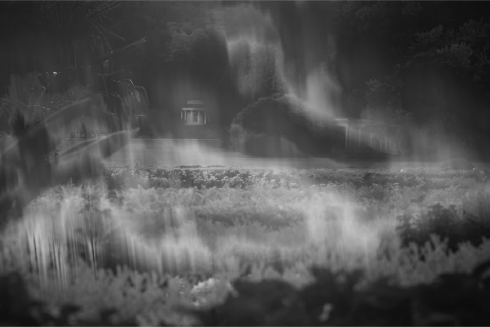 Copyright by Anké Hunscha